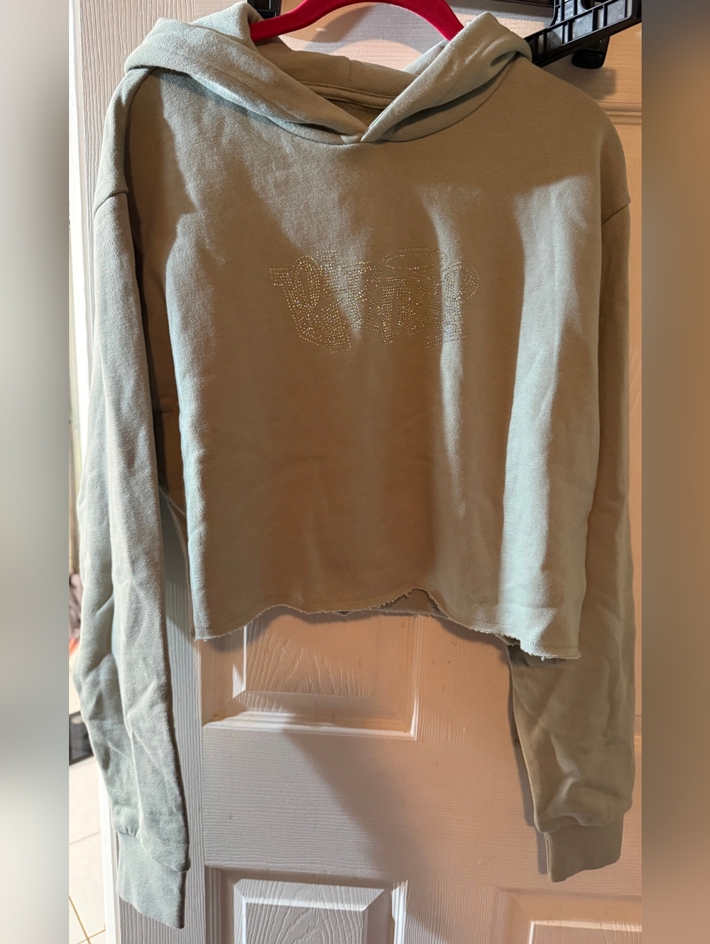 Ripndip Sage Green Hoodie with Rhinestone Logo